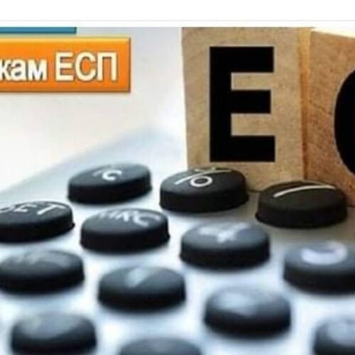 (Русский) плательщики ЕСП