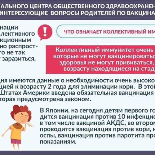 Что означает коллективный иммунитет?