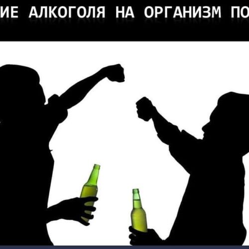 (Русский) ❗️❗️❗️Действие алкоголя на подростка сильнее, чем на взрослого, и сказывается на работе мозга в будущем.